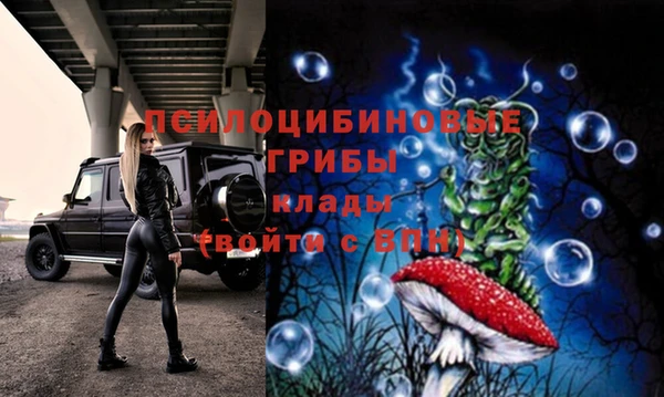 марихуана Баксан